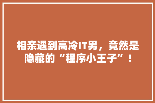 相亲遇到高冷IT男，竟然是隐藏的“程序小王子”！ SEO关键词