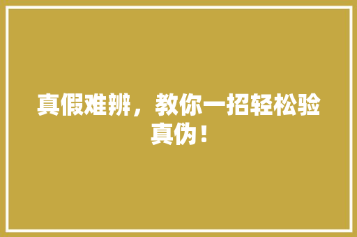 真假难辨，教你一招轻松验真伪！ 网站建设公司