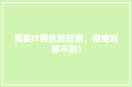真实IT男生的日常，你绝对想不到！ 搜狗SEO