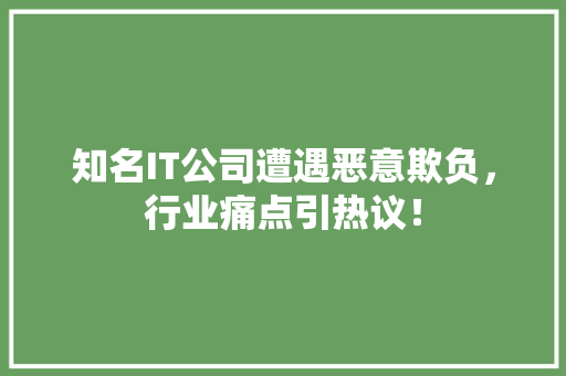 知名IT公司遭遇恶意欺负，行业痛点引热议！ 神马SEO