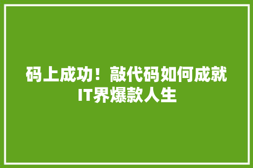 码上成功！敲代码如何成就IT界爆款人生 神马SEO