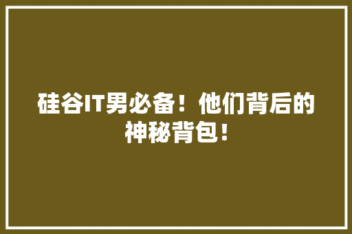 硅谷IT男必备！他们背后的神秘背包！ 网站建设公司