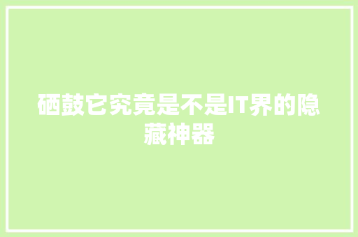 硒鼓它究竟是不是IT界的隐藏神器 神马SEO
