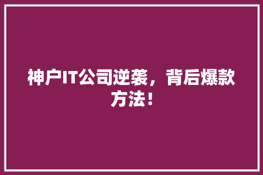 神户IT公司逆袭，背后爆款方法！ 必应SEO