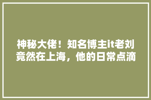 神秘大佬！知名博主it老刘竟然在上海，他的日常点滴！ 网站建设公司