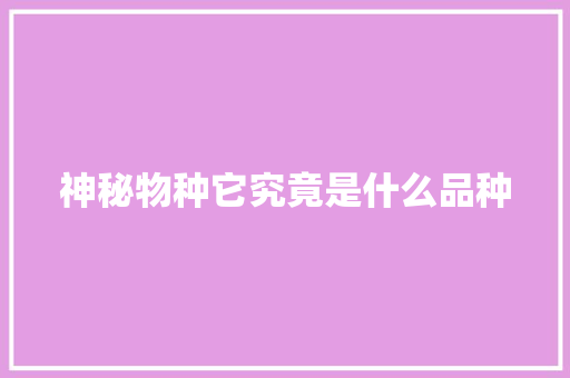 神秘物种它究竟是什么品种 神马SEO