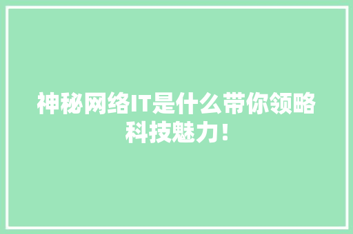 神秘网络IT是什么带你领略科技魅力！ 百度SEO