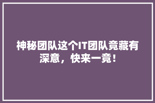 神秘团队这个IT团队竟藏有深意，快来一竟！ 必应SEO