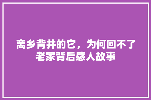 离乡背井的它，为何回不了老家背后感人故事 网站建设公司