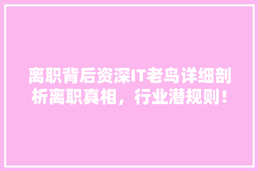 离职背后资深IT老鸟详细剖析离职真相，行业潜规则！ 神马SEO