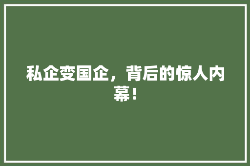 私企变国企，背后的惊人内幕！ 神马SEO