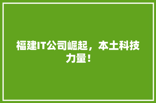 福建IT公司崛起，本土科技力量！ 搜狗SEO
