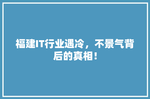 福建IT行业遇冷，不景气背后的真相！ 必应SEO