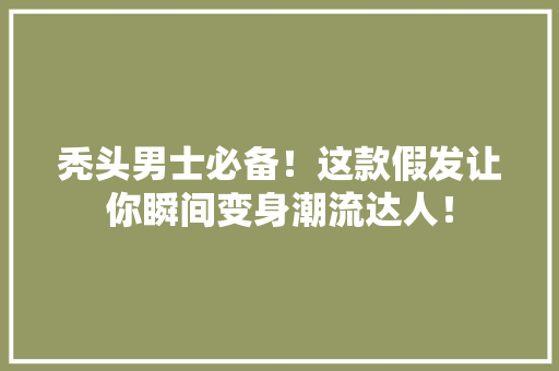 秃头男士必备！这款假发让你瞬间变身潮流达人！ 搜狗SEO