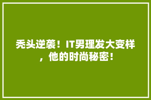 秃头逆袭！IT男理发大变样，他的时尚秘密！ 搜狗SEO