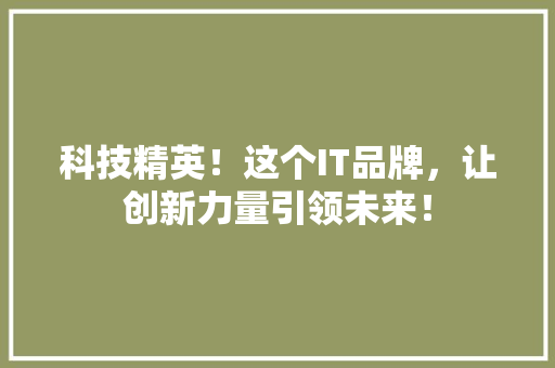 科技精英！这个IT品牌，让创新力量引领未来！ 神马SEO