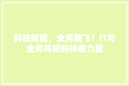 科技赋能，业务腾飞！IT与业务共振的神奇力量 SEO关键词