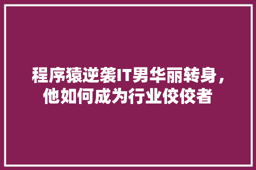 程序猿逆袭IT男华丽转身，他如何成为行业佼佼者 必应SEO