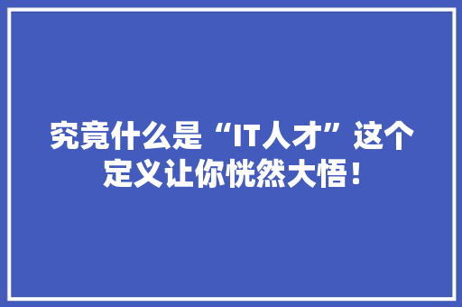 究竟什么是“IT人才”这个定义让你恍然大悟！ 搜狗SEO