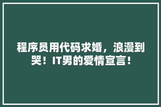 程序员用代码求婚，浪漫到哭！IT男的爱情宣言！ 网站建设公司