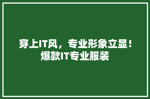 穿上IT风，专业形象立显！爆款IT专业服装 百度SEO