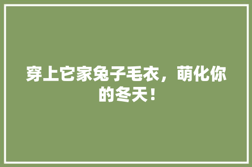 穿上它家兔子毛衣，萌化你的冬天！ 百度SEO