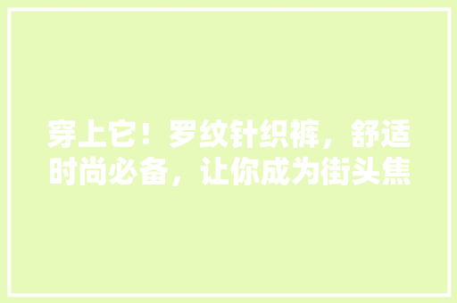 穿上它！罗纹针织裤，舒适时尚必备，让你成为街头焦点！ 网站建设公司