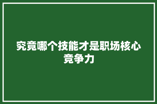 究竟哪个技能才是职场核心竞争力 百度SEO