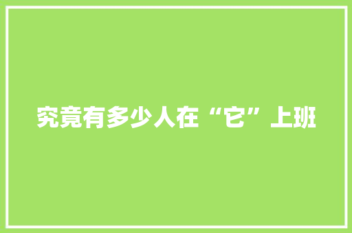 究竟有多少人在“它”上班 必应SEO