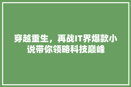 穿越重生，再战IT界爆款小说带你领略科技巅峰 网站建设公司