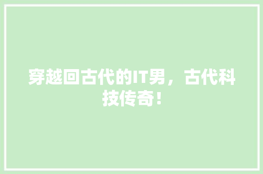 穿越回古代的IT男，古代科技传奇！ 必应SEO