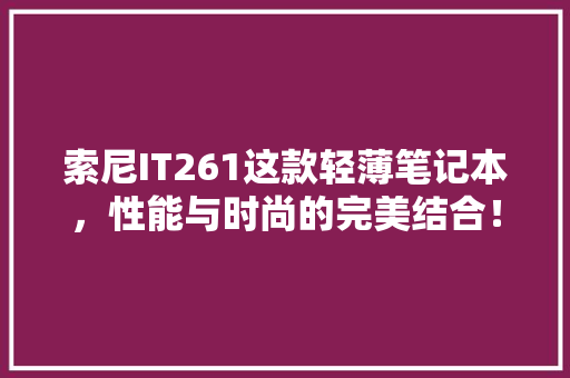 索尼IT261这款轻薄笔记本，性能与时尚的完美结合！ 必应SEO