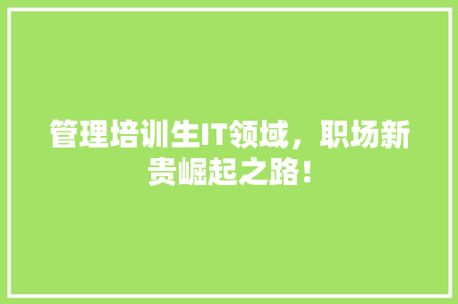 管理培训生IT领域，职场新贵崛起之路！ 神马SEO