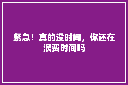 紧急！真的没时间，你还在浪费时间吗 百度SEO