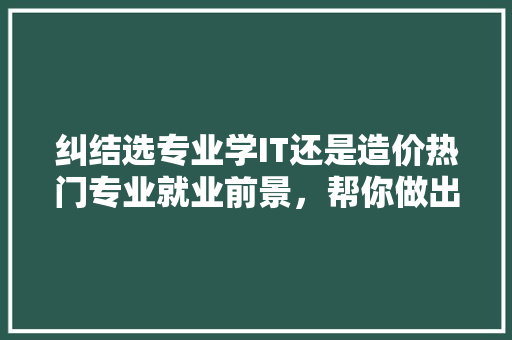 纠结选专业学IT还是造价热门专业就业前景，帮你做出明智选择！ SEO关键词