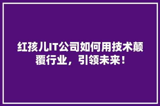 红孩儿IT公司如何用技术颠覆行业，引领未来！ 网站建设公司