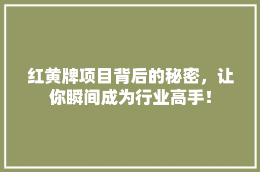 红黄牌项目背后的秘密，让你瞬间成为行业高手！ 百度SEO