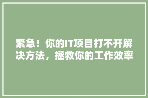 紧急！你的IT项目打不开解决方法，拯救你的工作效率！ 神马SEO