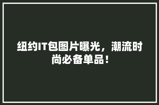 纽约IT包图片曝光，潮流时尚必备单品！ 神马SEO