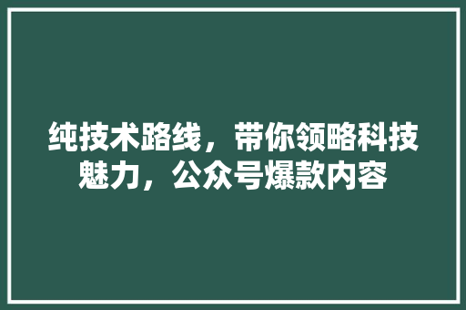 纯技术路线，带你领略科技魅力，公众号爆款内容 百度SEO