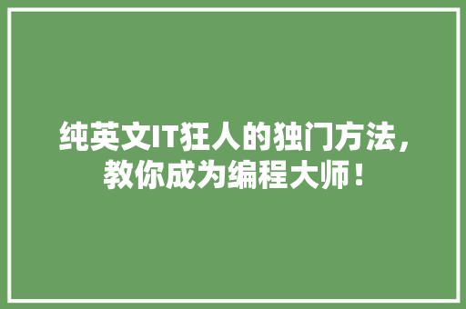 纯英文IT狂人的独门方法，教你成为编程大师！ SEO关键词