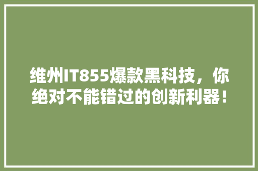 维州IT855爆款黑科技，你绝对不能错过的创新利器！ 神马SEO