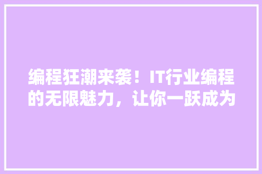编程狂潮来袭！IT行业编程的无限魅力，让你一跃成为编程高手！ 网站建设公司