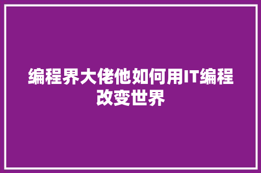编程界大佬他如何用IT编程改变世界 百度SEO