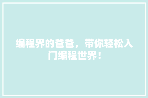 编程界的爸爸，带你轻松入门编程世界！ 神马SEO