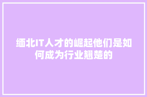 缅北IT人才的崛起他们是如何成为行业翘楚的 神马SEO