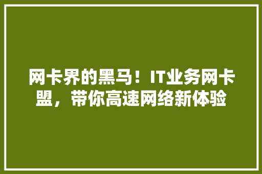 网卡界的黑马！IT业务网卡盟，带你高速网络新体验 搜狗SEO