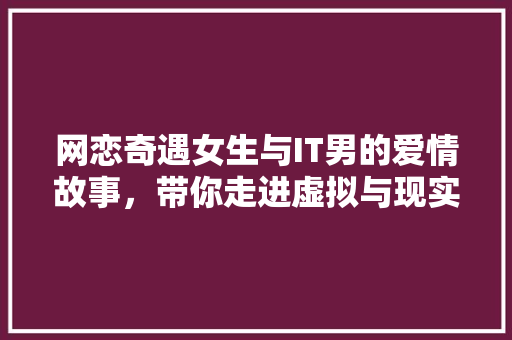网恋奇遇女生与IT男的爱情故事，带你走进虚拟与现实的爱情迷宫 必应SEO