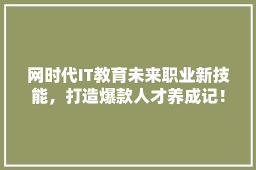 网时代IT教育未来职业新技能，打造爆款人才养成记！ SEO关键词