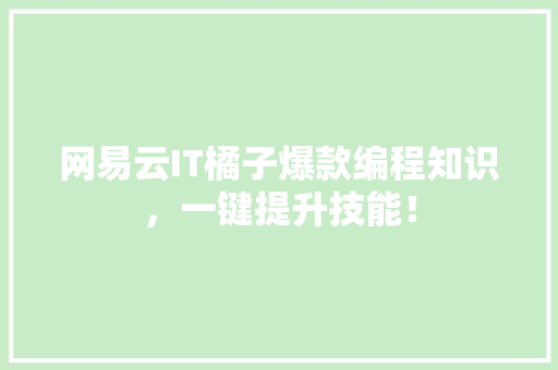 网易云IT橘子爆款编程知识，一键提升技能！ 搜狗SEO